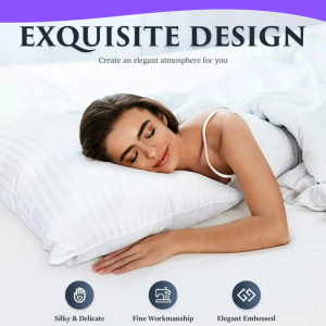 Egyptian Stripe Pillows